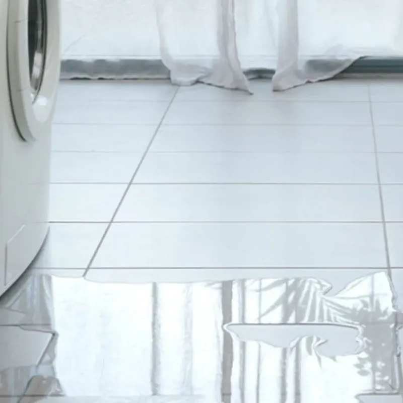 Appliance Leak Cleanup in Lacy-Lakeview, TX