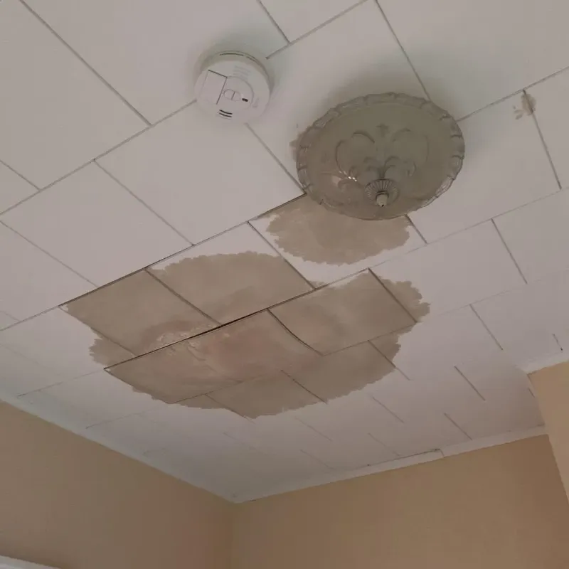 Ceiling Water Damage Repair in Lacy-Lakeview, TX