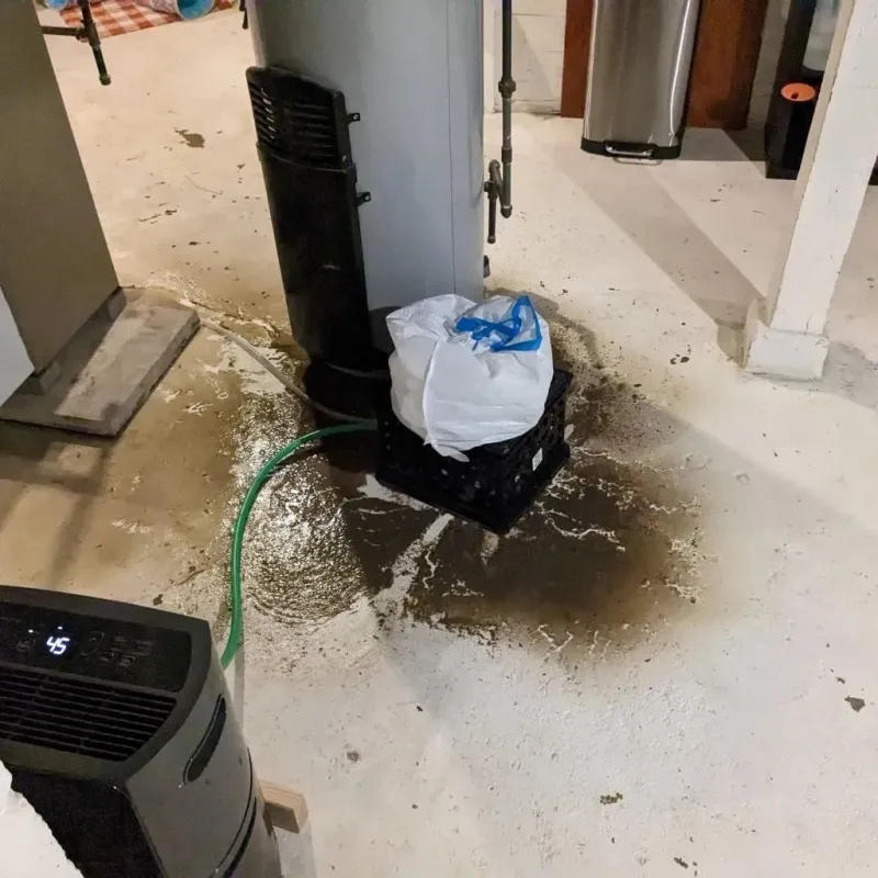 Sewage Backup Cleanup Service in Lacy-Lakeview, TX